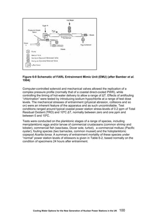 Cooling Water Options for the New Generation of Nuclear Power Stations in the UK 100
Figure 6-9 Schematic of FARL Entrainment Mimic Unit (EMU) (after Bamber et al.
1994)
Computer-controlled solenoid and mechanical valves allowed the replication of a
complex pressure profile (normally that of a coastal direct-cooled PWR), while
controlling the timing of hot-water delivery to allow a range of ΔT. Effects of antifouling
“chlorination” were tested by introducing sodium hypochlorite at a range of test dose
levels. The mechanical stresses of entrainment (physical abrasion, collisions and so
on) were an inherent feature of the apparatus and as such uncontrollable. Test
conditions ranged around typical coastal power station stress-levels of 0.2 ppm of Total
Residual Oxidant (TRO) and 10ºC ΔT, normally between zero and one ppm and
between 0 and 15ºC.
Tests were conducted on the planktonic stages of a range of species, including
meroplanktonic eggs and/or larvae of commercial crustaceans (common shrimp and
lobster), commercial fish (sea-bass, Dover sole, turbot), a commercial mollusc (Pacific
oyster), fouling species (two barnacles, common mussel) and the holoplanktonic
copepod Acartia tonsa. A summary of entrainment mortality of these species under
“normal” power station levels of stressors is given in Table 6-2, based normally on the
condition of specimens 24 hours after entrainment.
 
