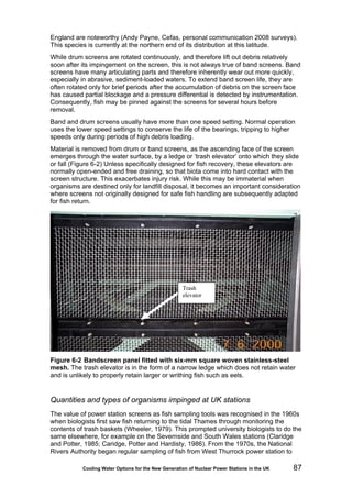 Cooling Water Options for the New Generation of Nuclear Power Stations in the UK 87
England are noteworthy (Andy Payne, Cefas, personal communication 2008 surveys).
This species is currently at the northern end of its distribution at this latitude.
While drum screens are rotated continuously, and therefore lift out debris relatively
soon after its impingement on the screen, this is not always true of band screens. Band
screens have many articulating parts and therefore inherently wear out more quickly,
especially in abrasive, sediment-loaded waters. To extend band screen life, they are
often rotated only for brief periods after the accumulation of debris on the screen face
has caused partial blockage and a pressure differential is detected by instrumentation.
Consequently, fish may be pinned against the screens for several hours before
removal.
Band and drum screens usually have more than one speed setting. Normal operation
uses the lower speed settings to conserve the life of the bearings, tripping to higher
speeds only during periods of high debris loading.
Material is removed from drum or band screens, as the ascending face of the screen
emerges through the water surface, by a ledge or ‘trash elevator’ onto which they slide
or fall (Figure 6-2) Unless specifically designed for fish recovery, these elevators are
normally open-ended and free draining, so that biota come into hard contact with the
screen structure. This exacerbates injury risk. While this may be immaterial when
organisms are destined only for landfill disposal, it becomes an important consideration
where screens not originally designed for safe fish handling are subsequently adapted
for fish return.
Figure 6-2 Bandscreen panel fitted with six-mm square woven stainless-steel
mesh. The trash elevator is in the form of a narrow ledge which does not retain water
and is unlikely to properly retain larger or writhing fish such as eels.
Quantities and types of organisms impinged at UK stations
The value of power station screens as fish sampling tools was recognised in the 1960s
when biologists first saw fish returning to the tidal Thames through monitoring the
contents of trash baskets (Wheeler, 1979). This prompted university biologists to do the
same elsewhere, for example on the Severnside and South Wales stations (Claridge
and Potter, 1985; Caridge, Potter and Hardisty, 1986). From the 1970s, the National
Rivers Authority began regular sampling of fish from West Thurrock power station to
Trash
elevator
 