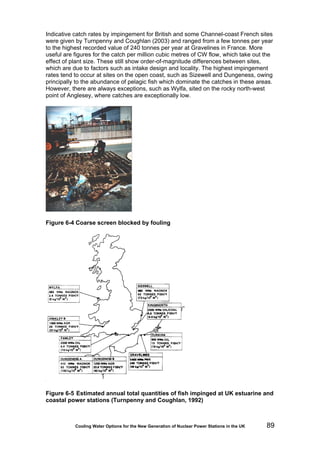 Cooling Water Options for the New Generation of Nuclear Power Stations in the UK 89
Indicative catch rates by impingement for British and some Channel-coast French sites
were given by Turnpenny and Coughlan (2003) and ranged from a few tonnes per year
to the highest recorded value of 240 tonnes per year at Gravelines in France. More
useful are figures for the catch per million cubic metres of CW flow, which take out the
effect of plant size. These still show order-of-magnitude differences between sites,
which are due to factors such as intake design and locality. The highest impingement
rates tend to occur at sites on the open coast, such as Sizewell and Dungeness, owing
principally to the abundance of pelagic fish which dominate the catches in these areas.
However, there are always exceptions, such as Wylfa, sited on the rocky north-west
point of Anglesey, where catches are exceptionally low.
Figure 6-4 Coarse screen blocked by fouling
Figure 6-5 Estimated annual total quantities of fish impinged at UK estuarine and
coastal power stations (Turnpenny and Coughlan, 1992)
 