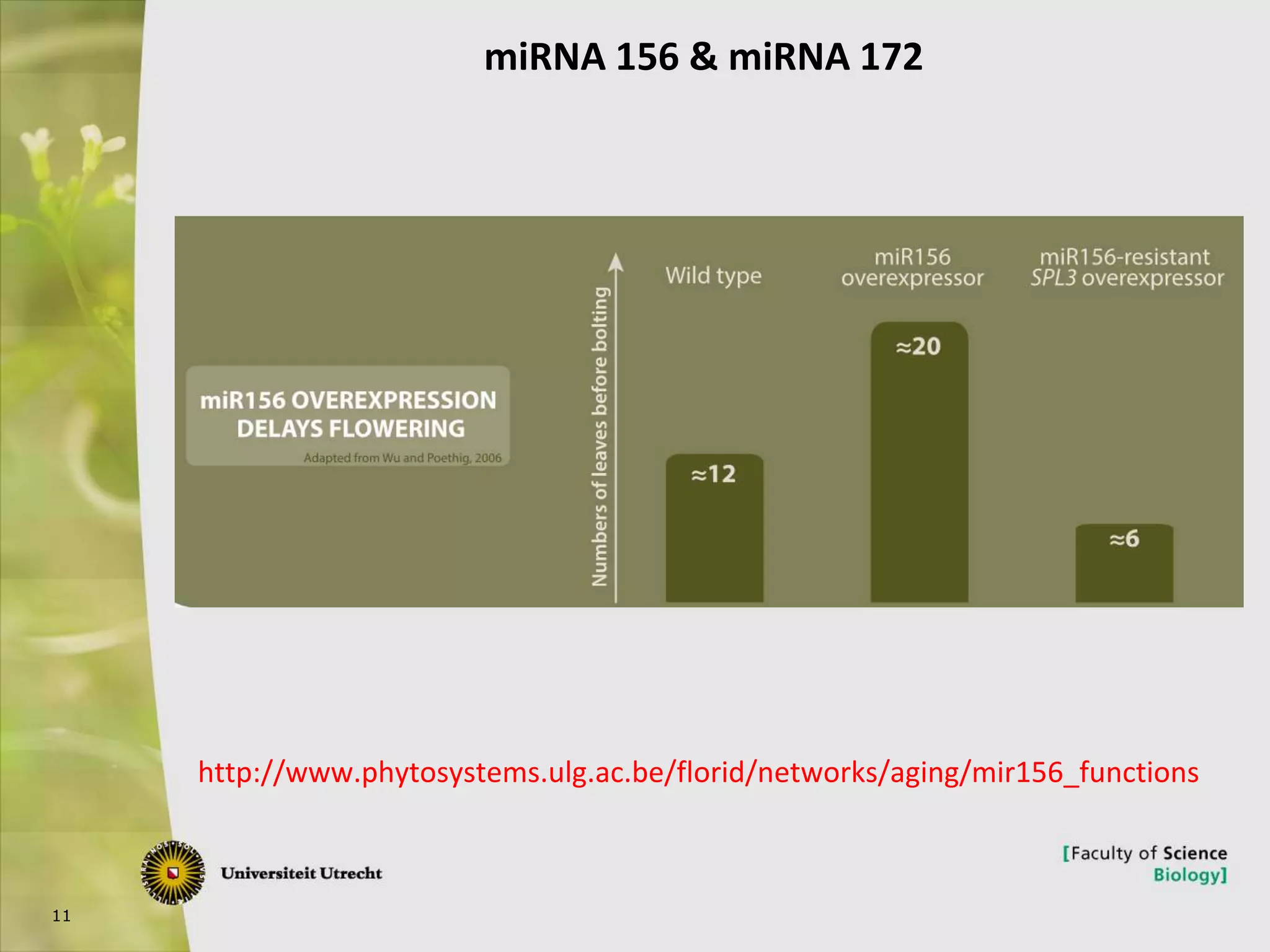 11
http://www.phytosystems.ulg.ac.be/florid/networks/aging/mir156_functions
miRNA 156 & miRNA 172
 
