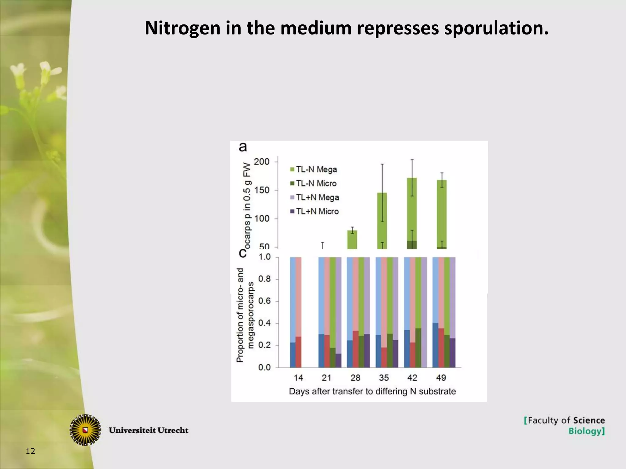 12
Nitrogen in the medium represses sporulation.
 