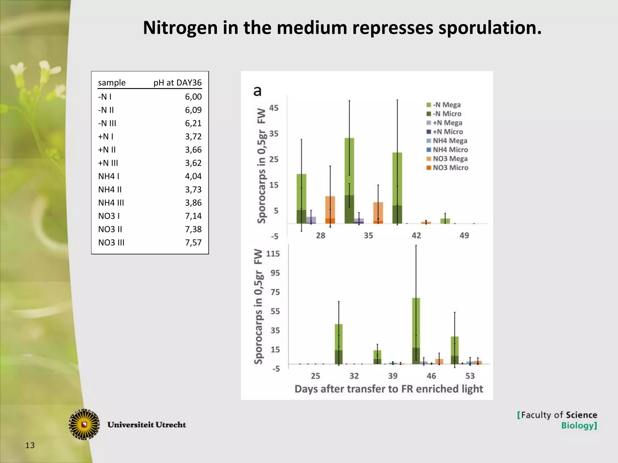 13
Nitrogen in the medium represses sporulation.
sample pH at DAY36
-N I 6,00
-N II 6,09
-N III 6,21
+N I 3,72
+N II 3,66
+N III 3,62
NH4 I 4,04
NH4 II 3,73
NH4 III 3,86
NO3 I 7,14
NO3 II 7,38
NO3 III 7,57
 