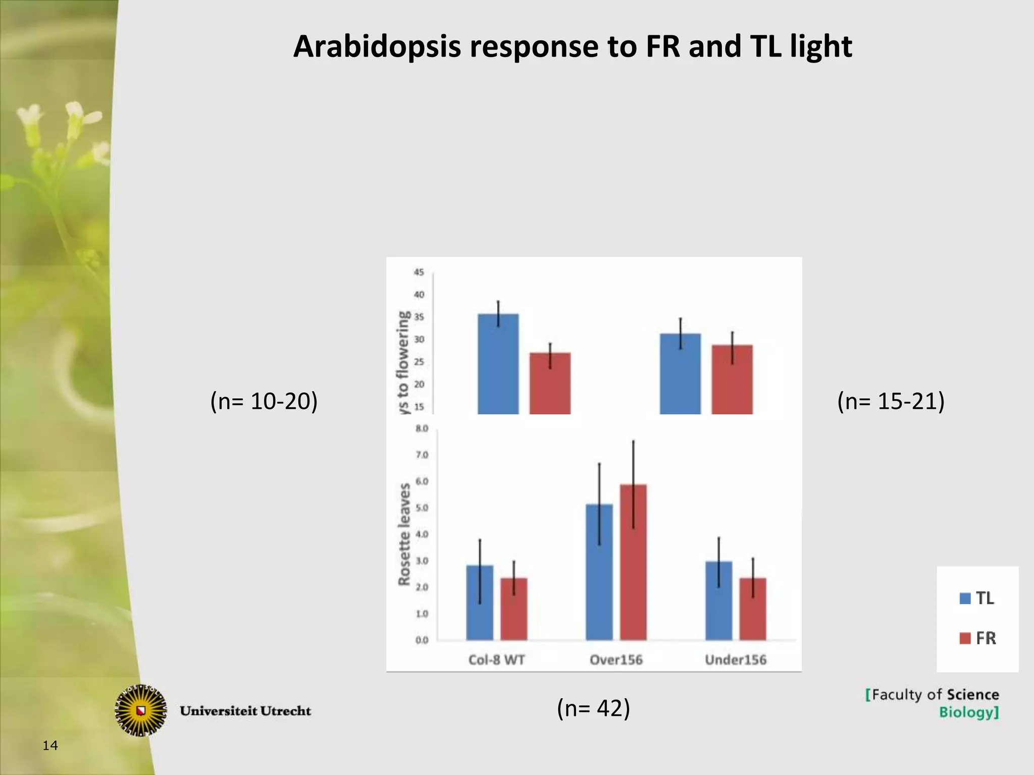 14
Arabidopsis response to FR and TL light
(n= 10-20) (n= 15-21)
(n= 42)
 