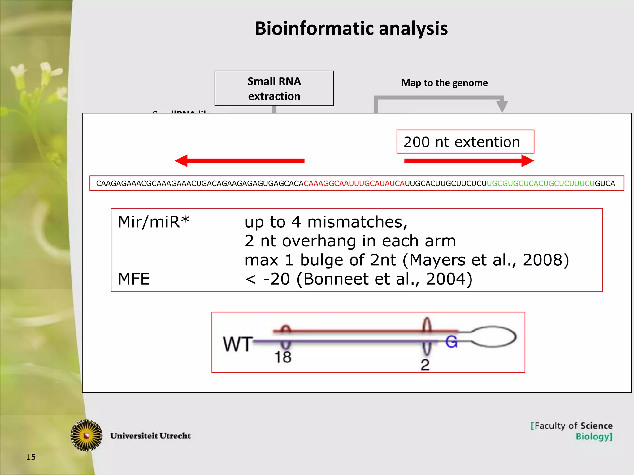 15
Bioinformatic analysis
mirna folding and
prediction
Small RNA
extraction
Small RNA Raw reads
SmallRNA library
preparation and
sequencing
Removal of low quality
reads, sequences without
primer and barcode
Trimmed Sequences
Mapped Reads
Map to the genome
miRNA candidates
identify homologous
miRNAs
Conserved miRNA
Novel miRNA
Exclude false candidates,
Introns, exons, other non-coding-RNA
CAAGAGAAACGCAAAGAAACUGACAGAAGAGAGUGAGCACACAAAGGCAAUUUGCAUAUCAUUGCACUUGCUUCUCUUGCGUGCUCACUGCUCUUUCUGUCA
200 nt extention
Mir/miR* up to 4 mismatches,
2 nt overhang in each arm
max 1 bulge of 2nt (Mayers et al., 2008)
MFE < -20 (Bonneet et al., 2004)
 