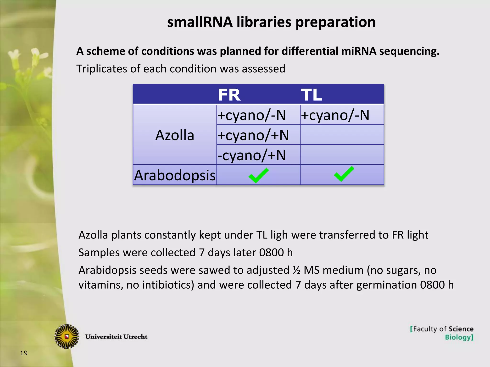 19
A scheme of conditions was planned for differential miRNA sequencing.
Triplicates of each condition was assessed
smallRNA libraries preparation
FR TL
Azolla
+cyano/-N +cyano/-N
+cyano/+N
-cyano/+N
Arabodopsis
Azolla plants constantly kept under TL ligh were transferred to FR light
Samples were collected 7 days later 0800 h
Arabidopsis seeds were sawed to adjusted ½ MS medium (no sugars, no
vitamins, no intibiotics) and were collected 7 days after germination 0800 h
 