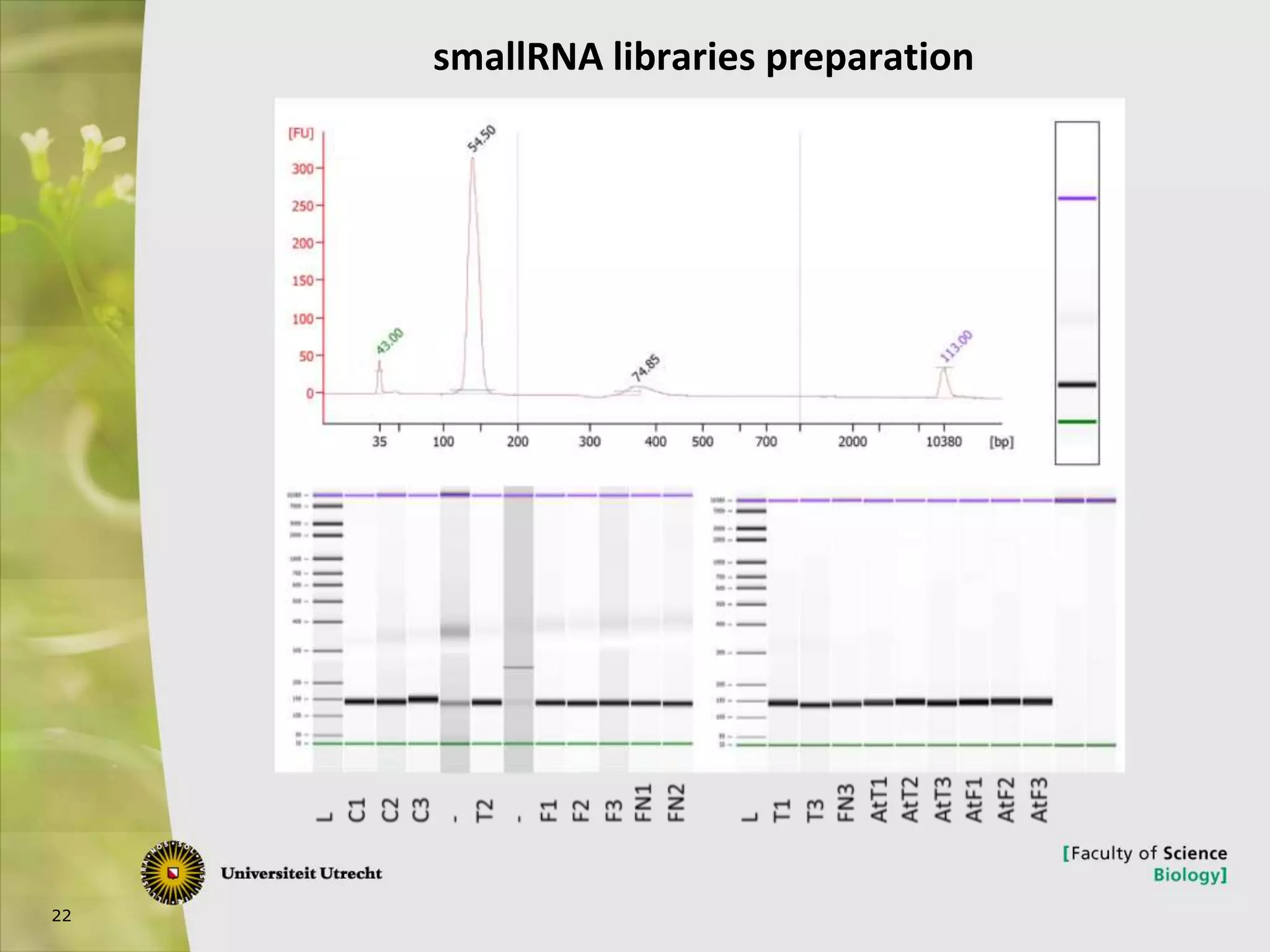 22
smallRNA libraries preparation
 