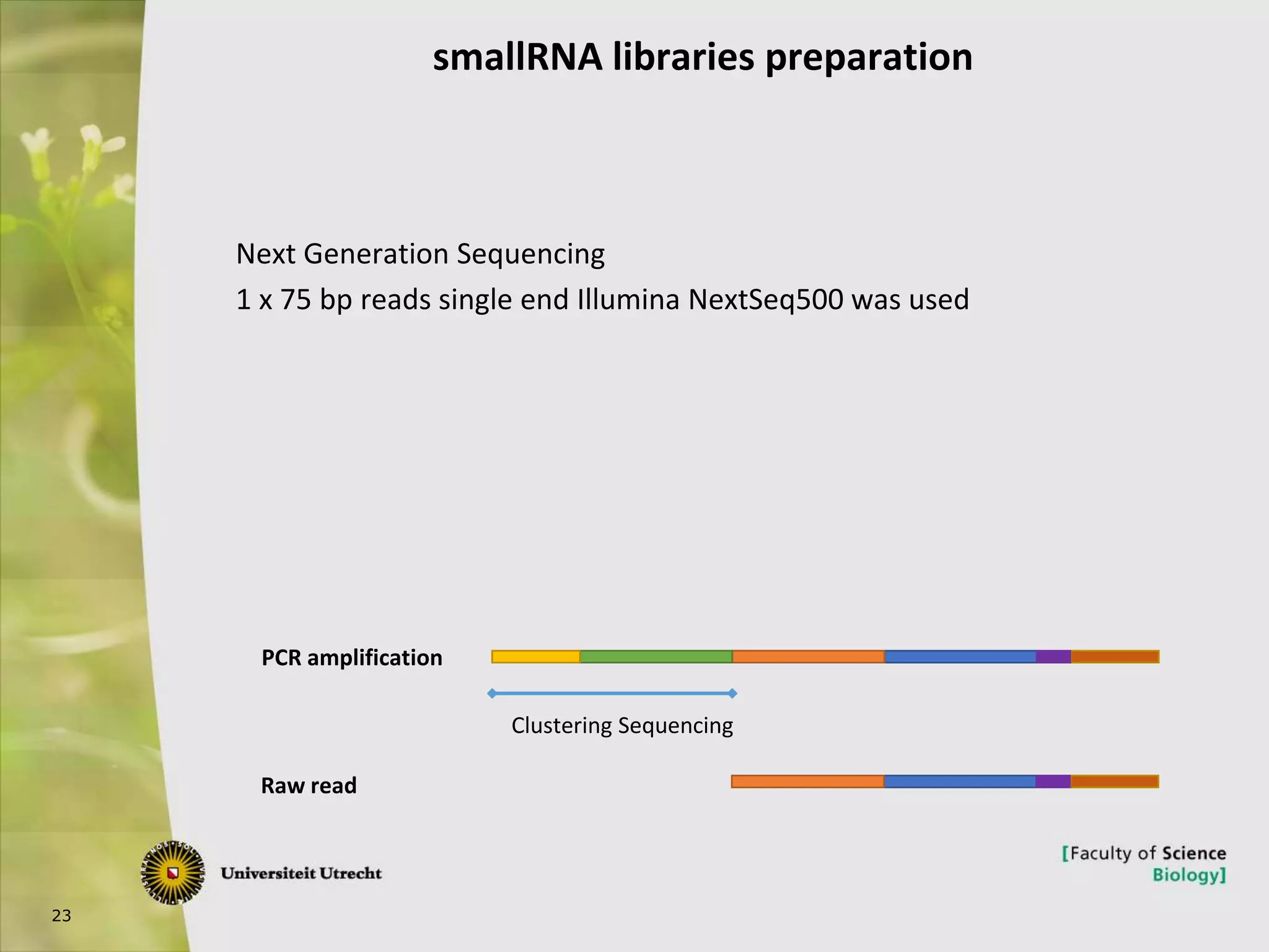 23
PCR amplification
Raw read
Clustering Sequencing
Next Generation Sequencing
1 x 75 bp reads single end Illumina NextSeq500 was used
smallRNA libraries preparation
 