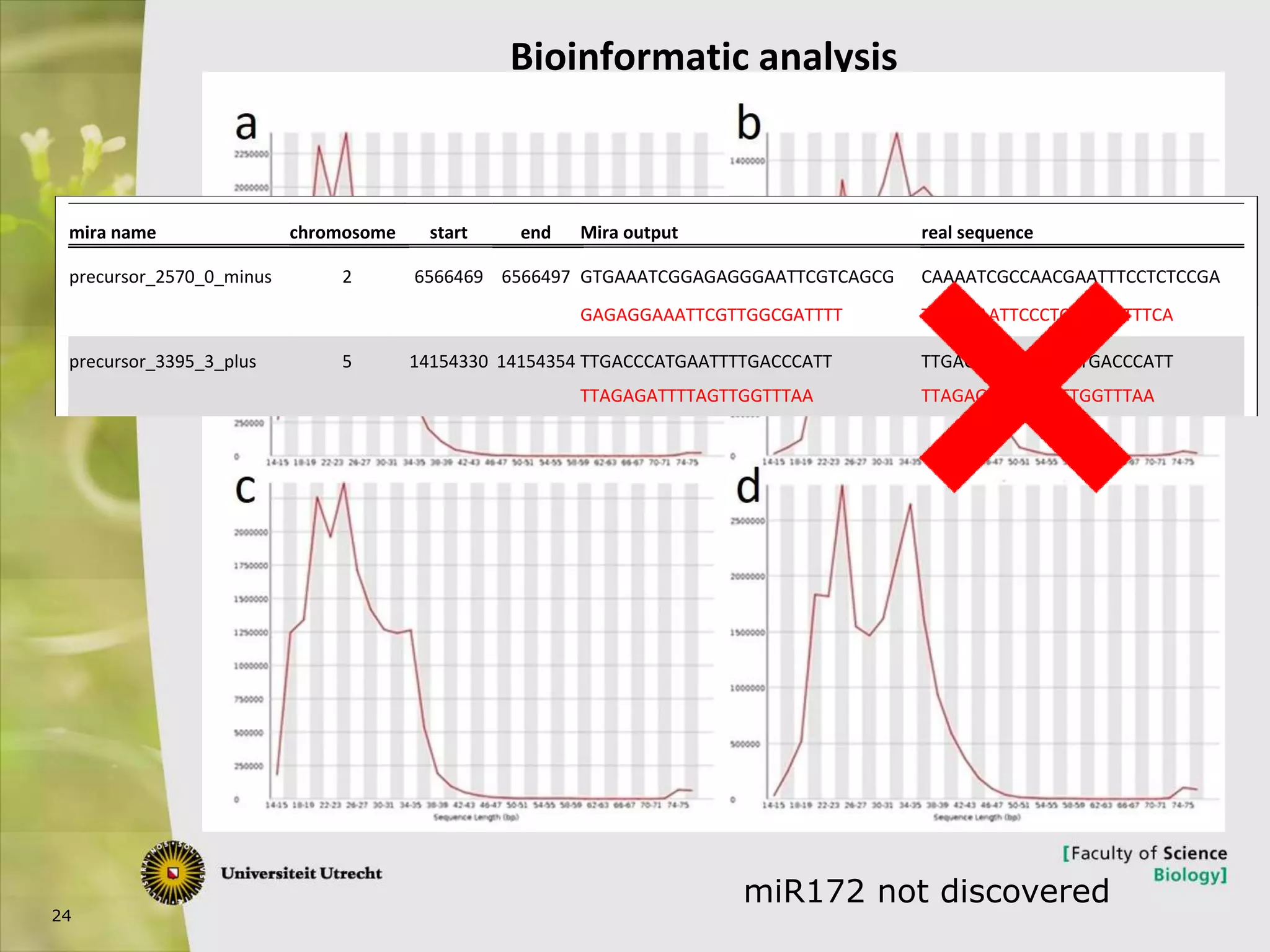 24
Bioinformatic analysis
Small RNA extraction
Small RNA libraries
285,219,714 raw reads
SmallRNA library preparation
and sequencing
Removal of low quality reads,
sequences without primer and
barcode using Trimomatic
Trimmed Sequences
276,904,904 reads
165,891,928 total reads
21,935,456 unique reads
Discart sequences longer that
26 nt and shorter than 18nt
93,867,190 (83.69%) Azolla
52,285,210 (97.30%) Arabidopsis
mapped reads
Map to the genomes
using topHat
11,304 Azolla and
2,202 Arabidopsis
miRNA candidates
mirna prediction using
miRa
Blast against miRBase to
identify homologous
miRNAs
76,111 Azolla and
9,654 Arabidopsis miRNA
candidates
13 conserved miRNAs in Azolla and
35 in Arabidopsis
Exclude false candidates
mira name chromosome start end Mira output real sequence
precursor_2570_0_minus 2 6566469 6566497 GTGAAATCGGAGAGGGAATTCGTCAGCG CAAAATCGCCAACGAATTTCCTCTCCGA
GAGAGGAAATTCGTTGGCGATTTT TGACGAATTCCCTCTCCGATTTCA
precursor_135_8_minus 3 1924211 1924236 AAGTGTACGAATCAAACCGTGAAAA AGTGTACGAATCAAACAGTGAAAAA
TTCACTGTTTGATTCGTACACTTA TCACGGTTTGATTCGTACACTTGG
precursor_5410_2_minus 1 29244151 29244170 GCAGCCACTGTAAATAAGT ACATTTTTGCAGCCACTTT
ATTTCACAAAGTGGCTGCAAA AGTTGAGACTTATTTACAGTG
precursor_3395_3_plus 5 14154330 14154354 TTGACCCATGAATTTTGACCCATT TTGACCCATGAATTTTGACCCATT
TTAGAGATTTTAGTTGGTTTAA TTAGAGATTTTAGTTGGTTTAA
precursor_2621_0_plus 2 6612085 6612110 AGAGCCGGTTGTTGGAGAGTTGGTC AGAGCCGGTTGTTGGAGAGTTGGTC
TCAACTCTCCAACAACCGGCTCTAC TCAACTCTCCAACAACCGGCTCTAC
mira name chromosome start end Mira output real sequence
precursor_2570_0_minus 2 6566469 6566497 GTGAAATCGGAGAGGGAATTCGTCAGCG CAAAATCGCCAACGAATTTCCTCTCCGA
GAGAGGAAATTCGTTGGCGATTTT TGACGAATTCCCTCTCCGATTTCA
precursor_135_8_minus 3 1924211 1924236 AAGTGTACGAATCAAACCGTGAAAA AGTGTACGAATCAAACAGTGAAAAA
TTCACTGTTTGATTCGTACACTTA TCACGGTTTGATTCGTACACTTGG
precursor_5410_2_minus 1 29244151 29244170 GCAGCCACTGTAAATAAGT ACATTTTTGCAGCCACTTT
ATTTCACAAAGTGGCTGCAAA AGTTGAGACTTATTTACAGTG
precursor_3395_3_plus 5 14154330 14154354 TTGACCCATGAATTTTGACCCATT TTGACCCATGAATTTTGACCCATT
TTAGAGATTTTAGTTGGTTTAA TTAGAGATTTTAGTTGGTTTAA
precursor_2621_0_plus 2 6612085 6612110 AGAGCCGGTTGTTGGAGAGTTGGTC AGAGCCGGTTGTTGGAGAGTTGGTC
TCAACTCTCCAACAACCGGCTCTAC TCAACTCTCCAACAACCGGCTCTAC
mira name chromosome start end Mira output real sequence
precursor_2570_0_minus 2 6566469 6566497 GTGAAATCGGAGAGGGAATTCGTCAGCG CAAAATCGCCAACGAATTTCCTCTCCGA
GAGAGGAAATTCGTTGGCGATTTT TGACGAATTCCCTCTCCGATTTCA
precursor_135_8_minus 3 1924211 1924236 AAGTGTACGAATCAAACCGTGAAAA AGTGTACGAATCAAACAGTGAAAAA
TTCACTGTTTGATTCGTACACTTA TCACGGTTTGATTCGTACACTTGG
precursor_5410_2_minus 1 29244151 29244170 GCAGCCACTGTAAATAAGT ACATTTTTGCAGCCACTTT
ATTTCACAAAGTGGCTGCAAA AGTTGAGACTTATTTACAGTG
precursor_3395_3_plus 5 14154330 14154354 TTGACCCATGAATTTTGACCCATT TTGACCCATGAATTTTGACCCATT
TTAGAGATTTTAGTTGGTTTAA TTAGAGATTTTAGTTGGTTTAA
precursor_2621_0_plus 2 6612085 6612110 AGAGCCGGTTGTTGGAGAGTTGGTC AGAGCCGGTTGTTGGAGAGTTGGTC
TCAACTCTCCAACAACCGGCTCTAC TCAACTCTCCAACAACCGGCTCTAC
miR172 not discovered
 