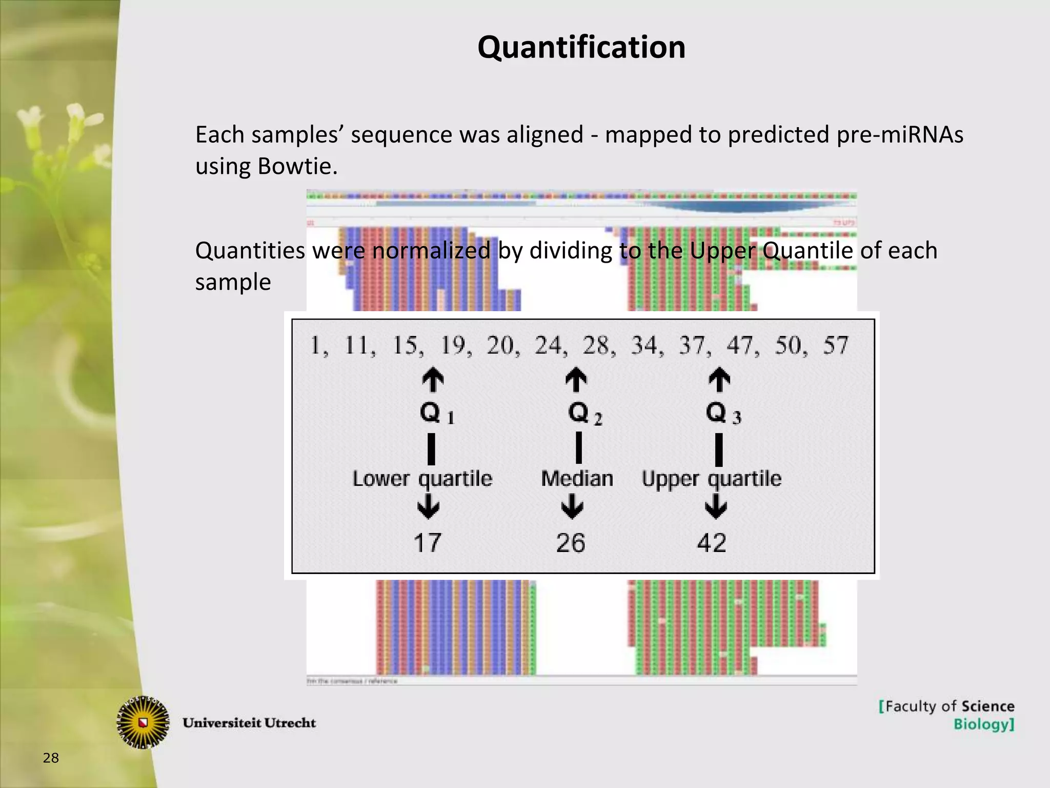 28
Quantification
Each samples’ sequence was aligned - mapped to predicted pre-miRNAs
using Bowtie.
Quantities were normalized by dividing to the Upper Quantile of each
sample
 
