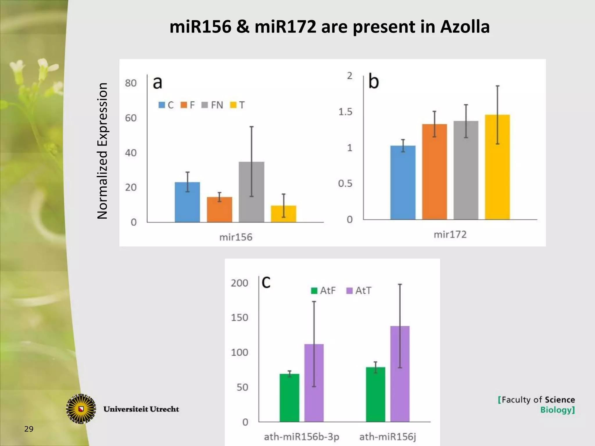 29
miR156 & miR172 are present in Azolla
NormalizedExpression
 