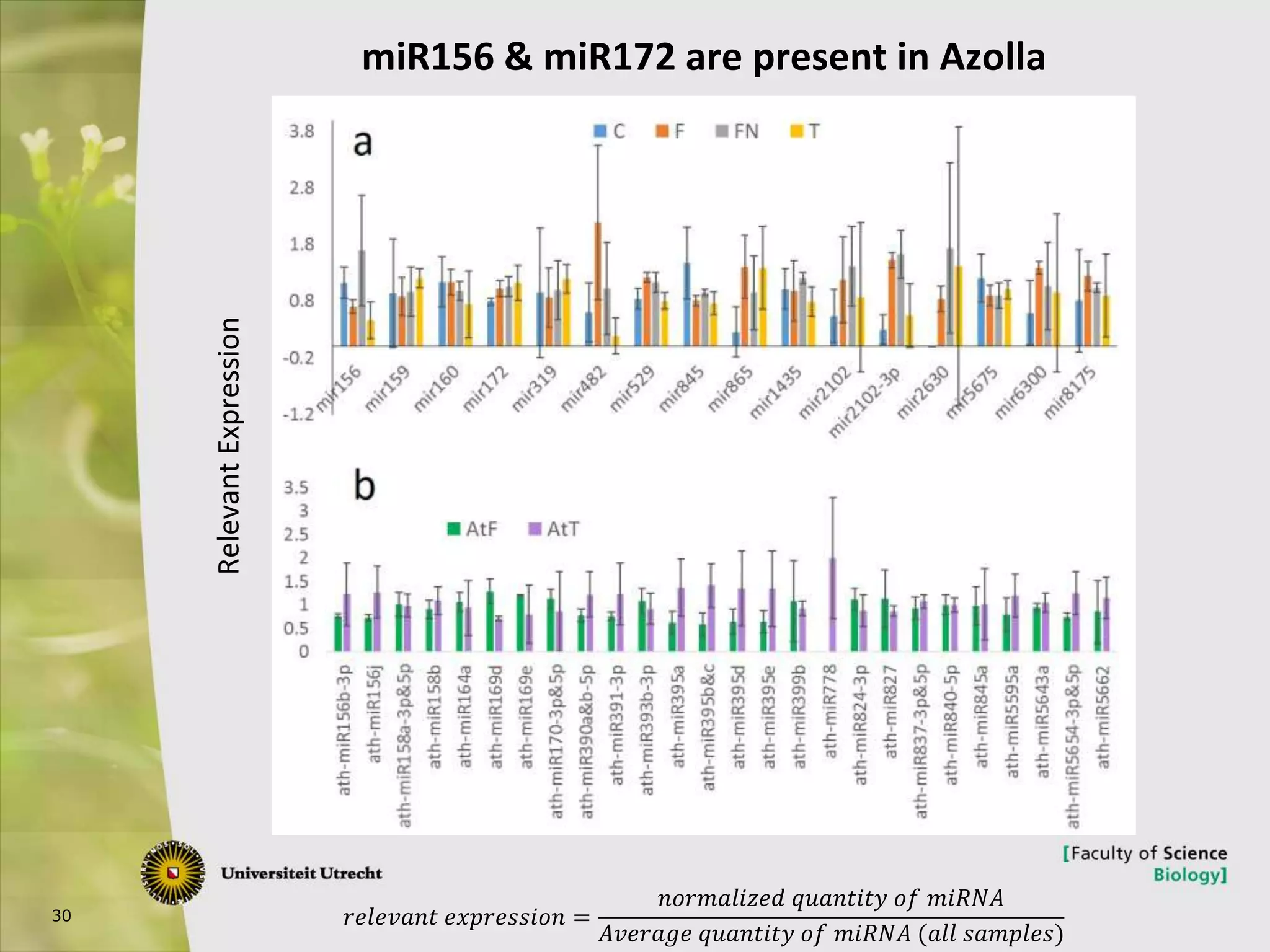 30
miR156 & miR172 are present in Azolla
𝑟𝑒𝑙𝑒𝑣𝑎𝑛𝑡 𝑒𝑥𝑝𝑟𝑒𝑠𝑠𝑖𝑜𝑛 =
𝑛𝑜𝑟𝑚𝑎𝑙𝑖𝑧𝑒𝑑 𝑞𝑢𝑎𝑛𝑡𝑖𝑡𝑦 𝑜𝑓 𝑚𝑖𝑅𝑁𝐴
𝐴𝑣𝑒𝑟𝑎𝑔𝑒 𝑞𝑢𝑎𝑛𝑡𝑖𝑡𝑦 𝑜𝑓 𝑚𝑖𝑅𝑁𝐴 (𝑎𝑙𝑙 𝑠𝑎𝑚𝑝𝑙𝑒𝑠)
RelevantExpression
 