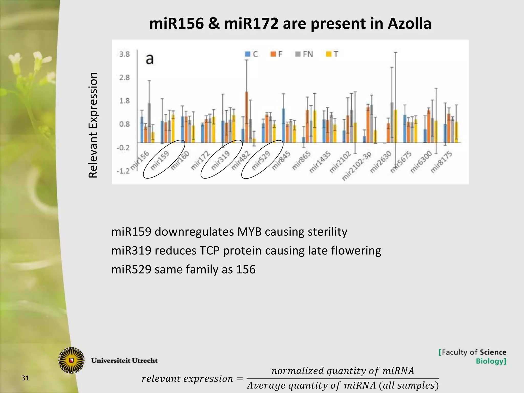 31
miR156 & miR172 are present in Azolla
𝑟𝑒𝑙𝑒𝑣𝑎𝑛𝑡 𝑒𝑥𝑝𝑟𝑒𝑠𝑠𝑖𝑜𝑛 =
𝑛𝑜𝑟𝑚𝑎𝑙𝑖𝑧𝑒𝑑 𝑞𝑢𝑎𝑛𝑡𝑖𝑡𝑦 𝑜𝑓 𝑚𝑖𝑅𝑁𝐴
𝐴𝑣𝑒𝑟𝑎𝑔𝑒 𝑞𝑢𝑎𝑛𝑡𝑖𝑡𝑦 𝑜𝑓 𝑚𝑖𝑅𝑁𝐴 (𝑎𝑙𝑙 𝑠𝑎𝑚𝑝𝑙𝑒𝑠)
RelevantExpression
miR159 downregulates MYB causing sterility
miR319 reduces TCP protein causing late flowering
miR529 same family as 156
 