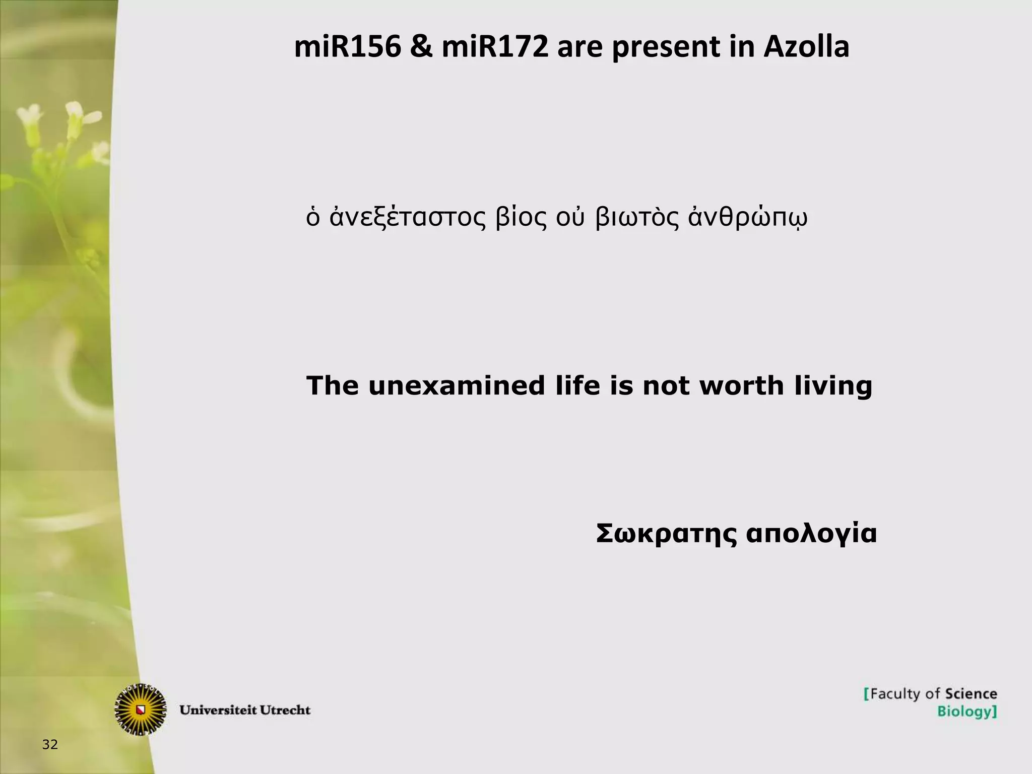 32
miR156 & miR172 are present in Azolla
ὁ ἀνεξέταστος βίος οὐ βιωτὸς ἀνθρώπῳ
The unexamined life is not worth living
Σωκρατης απολογία
 