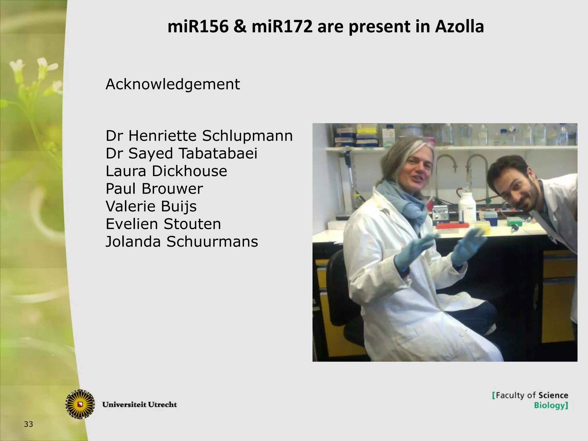 33
miR156 & miR172 are present in Azolla
Acknowledgement
Dr Henriette Schlupmann
Dr Sayed Tabatabaei
Laura Dickhouse
Paul Brouwer
Valerie Buijs
Evelien Stouten
Jolanda Schuurmans
 