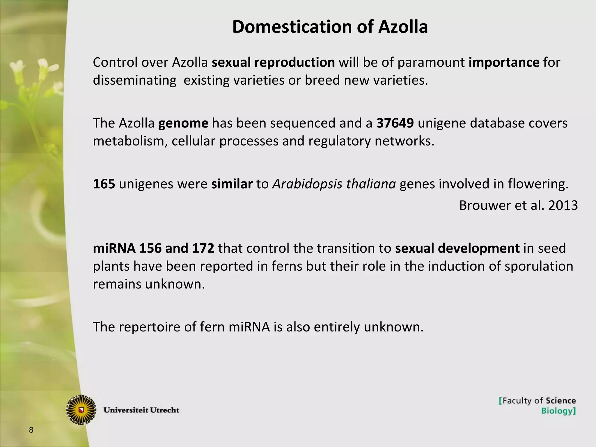 8
Control over Azolla sexual reproduction will be of paramount importance for
disseminating existing varieties or breed new varieties.
The Azolla genome has been sequenced and a 37649 unigene database covers
metabolism, cellular processes and regulatory networks.
165 unigenes were similar to Arabidopsis thaliana genes involved in flowering.
Brouwer et al. 2013
miRNA 156 and 172 that control the transition to sexual development in seed
plants have been reported in ferns but their role in the induction of sporulation
remains unknown.
The repertoire of fern miRNA is also entirely unknown.
Domestication of Azolla
 