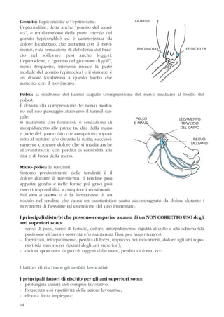 14
Gomito: l’epicondilite e l’epitrocleite.
L’epicondilite, detta anche “gomito del tenni-
sta”, è un’alterazione della parte laterale del
gomito (epicondilo) ed è caratterizzata da
dolore localizzato, che aumenta con il movi-
mento, e da sensazione di debolezza del brac-
cio nel sollevare pesi anche leggeri.
L’epitrocleite, o “gomito del giocatore di golf”,
meno frequente, interessa invece la parte
mediale del gomito (epitroclea) e il sintomo è
un dolore localizzato a questo livello che
aumenta con il movimento.
Polso: la sindrome del tunnel carpale (compressione del nervo mediano al livello del
polso).
È dovuta alla compressione del nervo media-
no nel suo passaggio attraverso il tunnel car-
pale.
Si manifesta con formicolii e sensazione di
intorpidimento alle prime tre dita della mano
e parte del quarto dito che compaiono soprat-
tutto al mattino e/o durante la notte; successi-
vamente compare dolore che si irradia anche
all’avambraccio con perdita di sensibilità alle
dita e di forza della mano.
Mano-polso: le tendiniti.
Sintomo predominante delle tendiniti è il
dolore durante il movimento. Il tendine può
apparire gonfio e nelle forme più gravi può
esservi impossibilità a compiere i movimenti.
Nel dito a scatto vi è la formazione di un
nodulo nel tendine che causa un caratteristico scatto accompagnato da dolore durante i
movimenti di flessione ed estensione del dito interessato.
I principali disturbi che possono comparire a causa di un NON CORRETTO USO degli
arti superiori sono:
- senso di peso, senso di fastidio, dolore, intorpidimento, rigidità al collo e alla schiena (da
posizione di lavoro scorretta e/o mantenuta fissa per lungo tempo);
- formicolii, intorpidimento, perdita di forza, impaccio nei movimenti, dolore agli arti supe-
riori (da movimenti ripetuti degli arti superiori);
- caduta spontanea di piccoli oggetti dalle mani, perdita di forza, ecc.
I fattori di rischio e gli ambiti lavorativi
I principali fattori di rischio per gli arti superiori sono:
- prolungata durata del compito lavorativo;
- frequenza e/o ripetitività delle azioni lavorative;
- elevata forza impiegata;
14
EPITROCLEAEPICONDILO
GOMITO
POLSO
E MANO
LEGAMENTO
TRAVERSO
DEL CARPO
NERVO
MEDIANO
 