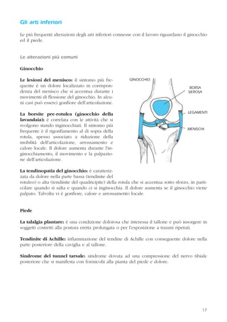 17
Gli arti inferiori
Le più frequenti alterazioni degli arti inferiori connesse con il lavoro riguardano il ginocchio
ed il piede.
Le alterazioni più comuni
Ginocchio
Le lesioni del menisco: il sintomo più fre-
quente è un dolore localizzato in corrispon-
denza del menisco che si accentua durante i
movimenti di flessione del ginocchio. In alcu-
ni casi può esserci gonfiore dell’articolazione.
La borsite pre-rotulea (ginocchio della
lavandaia): è correlata con le attività che si
svolgono stando inginocchiati. Il sintomo più
frequente è il rigonfiamento al di sopra della
rotula, spesso associato a riduzione della
mobilità dell'articolazione, arrossamento e
calore locale. Il dolore aumenta durante l'in-
ginocchiamento, il movimento e la palpazio-
ne dell’articolazione.
La tendinopatia del ginocchio: è caratteriz-
zata da dolore nella parte bassa (tendinite del
rotuleo) o alta (tendinite del quadricipite) della rotula che si accentua sotto sforzo, in parti-
colare quando si salta e quando ci si inginocchia. Il dolore aumenta se il ginocchio viene
palpato. Talvolta vi è gonfiore, calore e arrossamento locale.
Piede
La talalgia plantare: è una condizione dolorosa che interessa il tallone e può insorgere in
soggetti costretti alla postura eretta prolungata o per l’esposizione a traumi ripetuti.
Tendinite di Achille: infiammazione del tendine di Achille con conseguente dolore nella
parte posteriore della caviglia e al tallone.
Sindrome del tunnel tarsale: sindrome dovuta ad una compressione del nervo tibiale
posteriore che si manifesta con formicolii alla pianta del piede e dolore.
MENISCHI
LEGAMENTI
BORSA
SIEROSA
GINOCCHIO
 