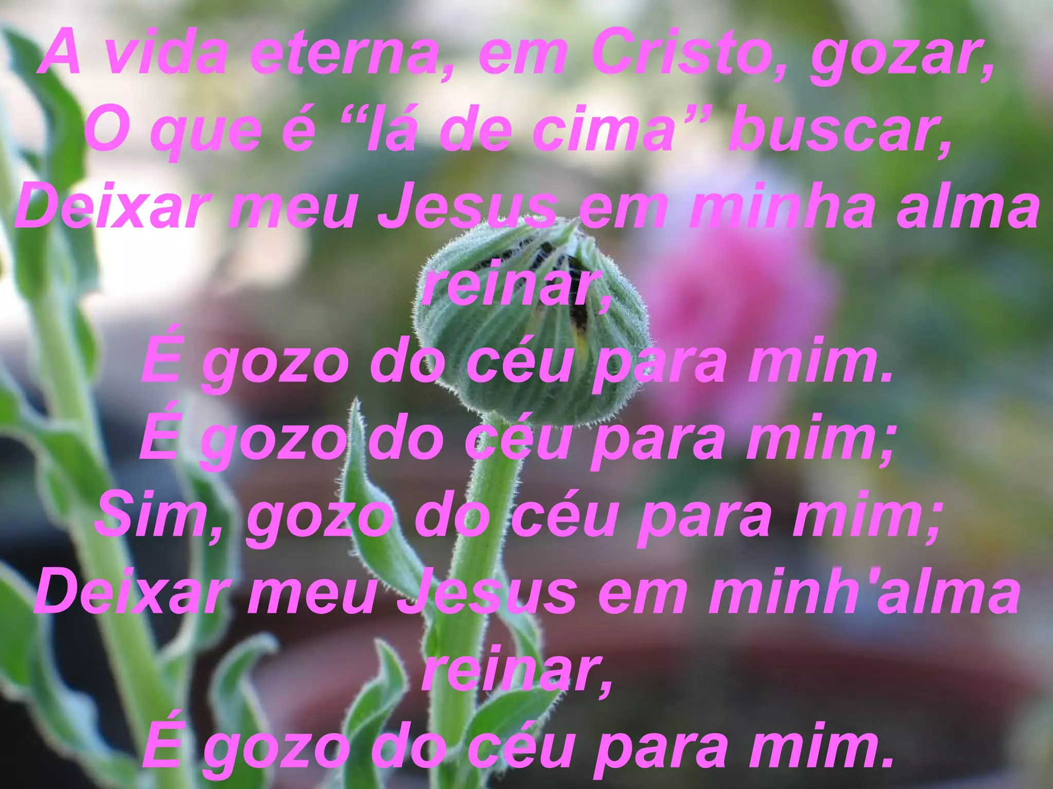 A vida eterna, em Cristo, gozar,
O que é “lá de cima” buscar,
Deixar meu Jesus em minha alma
reinar,
É gozo do céu para mim.
É gozo do céu para mim;
Sim, gozo do céu para mim;
Deixar meu Jesus em minh'alma
reinar,
É gozo do céu para mim.