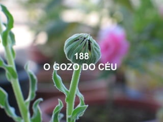 188
O GOZO DO CÉU
 