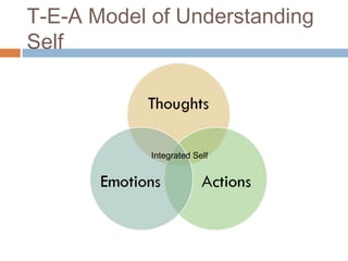 T-E-A Model of Understanding
Self
Integrated Self
 
