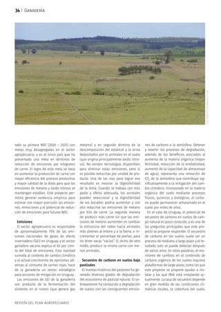 REVISTA DEL PLAN AGROPECUARIO
tado su primera NDC (2020 – 2025) con
metas muy desagregadas en el sector
agropecuario, y es el único país que ha
presentado una meta en términos de
reducción de emisiones por kilogramo
de carne. El logro de esta meta se basa
en aumentar la producción de carne con
mayor eficiencia del proceso productivo
y mayor calidad de la dieta para que las
emisiones de metano y óxido nitroso se
mantengan estables. Este proyecto per-
mitirá generar evidencia empírica para
estimar con mayor precisión las emisio-
nes, remociones y el potencial de reduc-
ción de emisiones para futuras NDC.
Emisiones
El sector agropecuario es responsable
de aproximadamente 75% de las emi-
siones nacionales de gases de efecto
invernadero (GEI) en Uruguay, y el sector
ganadero vacuno explica el 62 por cien-
to del total de emisiones. Esta realidad
sumada al contexto de cambio climático
y el actual crecimiento de opiniones ad-
versas al consumo de carnes rojas, hace
de la ganadería un sector estratégico
para acciones de mitigación en Uruguay.
Las emisiones de GEI de la ganadería
son producto de la fermentación del
alimento en el rumen (que genera gas
metano) y en segundo término de la
descomposición del estiércol y la orina
depositados por lo animales en el suelo
(que origina principalmente óxido nitro-
so). No existen tecnologías disponibles
para eliminar estas emisiones, pero sí
es posible reducirlas por unidad de pro-
ducto. Una de las vías para lograr ese
resultado es mejorar la digestibilidad
de la dieta. Cuando se trabaja con más
pasto y oferta adecuada, los animales
pueden seleccionar y la digestibilidad
de los bocados podría aumentar y con
ello reducirse las emisiones de metano
por kilo de carne. La segunda manera
de producir más carne sin que las emi-
siones de metano aumenten es cambiar
la estructura del rodeo hacia animales
más jóvenes al entore y a la faena, e in-
crementar el porcentaje de preñez, para
no tener vacas “vacías”. O, dicho de otro
modo, producir la misma carne con me-
nos animales.
Secuestro de carbono en suelos bajo
pastizales
El manejo histórico del pastoreo ha ge-
nerado diversos grados de degradación
del ecosistema de pastizal natural. El so-
brepastoreo ha conducido a degradación
de suelos con las consiguientes emisio-
nes de carbono a la atmósfera. Detener
y revertir los procesos de degradación,
además de los beneficios asociados al
aumento de la materia orgánica (mayor
fertilidad, reducción de la erodabilidad,
aumento de la capacidad de almacenaje
de agua), representa una remoción de
CO2
de la atmósfera que contribuye sig-
nificativamente a la mitigación del cam-
bio climático. Incorporado en la materia
orgánica del suelo mediante procesos
físicos, químicos y biológicos, el carbo-
no puede permanecer almacenado en el
suelo por miles de años.
En el caso de Uruguay, el potencial de
secuestro de carbono en suelos de cam-
po natural es poco conocido, y es una de
las preguntas principales que este pro-
yecto se propone responder. El secuestro
de carbono en los suelos suele ser un
proceso de mediano a largo plazo y el re-
sultado solo se puede detectar después
de varios años. En otras palabras, el mo-
nitoreo de cambios en el contenido de
carbono orgánico de los suelos requiere
plataformas de largo plazo, como las que
este proyecto se propone ayudar a ins-
talar y las que INIA está instalando ac-
tualmente. La tasa de secuestro depende
en gran medida de las condiciones cli-
máticas locales, la cobertura del suelo,
Ganadería
Foto:ProyectoGanaderíayClima
34
 