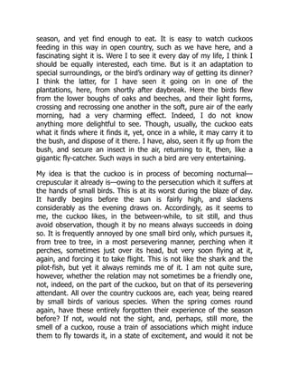 season, and yet find enough to eat. It is easy to watch cuckoos
feeding in this way in open country, such as we have here, and a
fascinating sight it is. Were I to see it every day of my life, I think I
should be equally interested, each time. But is it an adaptation to
special surroundings, or the bird’s ordinary way of getting its dinner?
I think the latter, for I have seen it going on in one of the
plantations, here, from shortly after daybreak. Here the birds flew
from the lower boughs of oaks and beeches, and their light forms,
crossing and recrossing one another in the soft, pure air of the early
morning, had a very charming effect. Indeed, I do not know
anything more delightful to see. Though, usually, the cuckoo eats
what it finds where it finds it, yet, once in a while, it may carry it to
the bush, and dispose of it there. I have, also, seen it fly up from the
bush, and secure an insect in the air, returning to it, then, like a
gigantic fly-catcher. Such ways in such a bird are very entertaining.
My idea is that the cuckoo is in process of becoming nocturnal—
crepuscular it already is—owing to the persecution which it suffers at
the hands of small birds. This is at its worst during the blaze of day.
It hardly begins before the sun is fairly high, and slackens
considerably as the evening draws on. Accordingly, as it seems to
me, the cuckoo likes, in the between-while, to sit still, and thus
avoid observation, though it by no means always succeeds in doing
so. It is frequently annoyed by one small bird only, which pursues it,
from tree to tree, in a most persevering manner, perching when it
perches, sometimes just over its head, but very soon flying at it,
again, and forcing it to take flight. This is not like the shark and the
pilot-fish, but yet it always reminds me of it. I am not quite sure,
however, whether the relation may not sometimes be a friendly one,
not, indeed, on the part of the cuckoo, but on that of its persevering
attendant. All over the country cuckoos are, each year, being reared
by small birds of various species. When the spring comes round
again, have these entirely forgotten their experience of the season
before? If not, would not the sight, and, perhaps, still more, the
smell of a cuckoo, rouse a train of associations which might induce
them to fly towards it, in a state of excitement, and would it not be
 