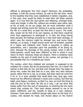 difficult to distinguish this from anger? Moreover, the probability,
perhaps, is that the young cuckoos, as well as the old ones, return
to the localities that they were established in before migration, and,
in this case, they would be likely to meet their old foster parents
again. It is true that the real parent and offspring, amongst birds,
meet and mingle, in after life, without any emotion upon either side,
as far, at least, as we can judge; but we must remember what a
strange and striking event the rearing of a young cuckoo must be in
the life of a small bird, at least the first time it occurs. The smell,
also, would not be that of its own species, so that there would be
more than appearance to distinguish it. In fact, the thing having
been peculiar, the feelings aroused by it may have been stronger, in
which case the memory might be stronger too, and revive these
feelings, or, at least, it might arouse some sort of emotion, possibly
of a vague and indistinct kind. Smell is powerful in calling up
associations, and I speculate upon the possibility of its doing so,
here, because the plumage of the young cuckoo, when it left its
foster-parents, would have been different to that in which it must
return to them. However, these are dreams. There is certainly much
hostility on the part of small birds to the cuckoo, but perhaps it is
just possible that l’un n’empêche pas l’autre.
The cuckoo, when thus mobbed and annoyed, is supposed to be
mistaken for a hawk. But do his persecutors fear him, as a hawk? My
opinion is that they do not, and that even though they may begin to
annoy him, under the idea that he is one, they very soon become
aware, either that he is not, or, at least, that they need not mind him
if he is. It is even possible that small birds may, long ago, have
found out the difference between a hawk and a cuckoo, but that the
habit, once begun, continues, so that it is, now, as much the thing to
mob the one as the other. Be this as it may, I do not think that
hawks suffer from this sort of annoyance, to anything like the same
extent that cuckoos do. They have always seemed to me to be
pretty indifferent, and the canaille to keep at a wary distance,
whereas I have seen a chaffinch plunge right down on the back of a
cuckoo, who ducked his head, and moved about on the branch
 