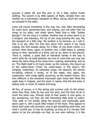 ground, it slants off, and flits over it, for a little, before finally
settling. The ascent is by little spasms of flight, divided from one
another by a momentary cessation of effort, during which the wings
are pressed to the sides.
Larks will mount something in this way, too, and, after descending
for some time, parachute-wise, and singing, one will often fold his
wings to his sides, and shoot down, head first—a little “jubilee
plunger”—for his song is a jubilee. Another way to come down is at
a tangent, and sideways, the tip of one wing pointing the way, like
the bowsprit of a little ship. Yet another is by terraces, as I call it;
that is to say, after the first dive down from where it has hung
singing, the bird sweeps along, for a little, at one level—which is a
terrace—then dives, again, to another one, a little below it, sweeps
along on that, descends to a third, and so on, down to the ground.
There is, indeed, a good deal of individual variety in the way in
which larks fly—at least between any two or more that one may see
doing the same thing at the same time—soaring, descending, and so
on. The flight itself is of many kinds—as the ordinary, the mount up
to the watch-tower (“from his watch-tower in the skies”), the
hanging, motionless, on extended wings, the descent, the serene
on-sailing, without a stroke, as of the eagle; and, again, the
suspension, with wings lightly quivering, as the kestrel hovers. But
how different is the character impressed upon these last! What the
eagle does in majesty, and the hawk in rapine, that the lark does in
beauty only, in music of motion and song.
All this, of course, is in the spring and summer only. In the winter,
when they flock, larks fly low over the land, and this they all do in
much the same way. Though most of their poetry is now gone, or
lies slumbering, yet they are still interesting little birds to watch.
They walk or run briskly along the ground, and continually peck
down upon it, with a quick little motion of the head. They appear to
direct each peck with precision, and to get something each time, but
what I cannot say. It may be anything, as long as it is minute; that
seems to be the principle—so that, as one sees nothing, it is like
 