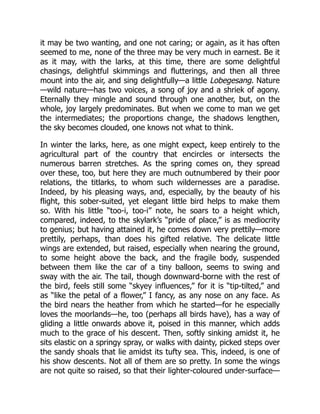 it may be two wanting, and one not caring; or again, as it has often
seemed to me, none of the three may be very much in earnest. Be it
as it may, with the larks, at this time, there are some delightful
chasings, delightful skimmings and flutterings, and then all three
mount into the air, and sing delightfully—a little Lobegesang. Nature
—wild nature—has two voices, a song of joy and a shriek of agony.
Eternally they mingle and sound through one another, but, on the
whole, joy largely predominates. But when we come to man we get
the intermediates; the proportions change, the shadows lengthen,
the sky becomes clouded, one knows not what to think.
In winter the larks, here, as one might expect, keep entirely to the
agricultural part of the country that encircles or intersects the
numerous barren stretches. As the spring comes on, they spread
over these, too, but here they are much outnumbered by their poor
relations, the titlarks, to whom such wildernesses are a paradise.
Indeed, by his pleasing ways, and, especially, by the beauty of his
flight, this sober-suited, yet elegant little bird helps to make them
so. With his little “too-i, too-i” note, he soars to a height which,
compared, indeed, to the skylark’s “pride of place,” is as mediocrity
to genius; but having attained it, he comes down very prettily—more
prettily, perhaps, than does his gifted relative. The delicate little
wings are extended, but raised, especially when nearing the ground,
to some height above the back, and the fragile body, suspended
between them like the car of a tiny balloon, seems to swing and
sway with the air. The tail, though downward-borne with the rest of
the bird, feels still some “skyey influences,” for it is “tip-tilted,” and
as “like the petal of a flower,” I fancy, as any nose on any face. As
the bird nears the heather from which he started—for he especially
loves the moorlands—he, too (perhaps all birds have), has a way of
gliding a little onwards above it, poised in this manner, which adds
much to the grace of his descent. Then, softly sinking amidst it, he
sits elastic on a springy spray, or walks with dainty, picked steps over
the sandy shoals that lie amidst its tufty sea. This, indeed, is one of
his show descents. Not all of them are so pretty. In some the wings
are not quite so raised, so that their lighter-coloured under-surface—
 