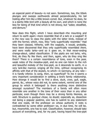 an especial point of beauty—is not seen. Sometimes, too, the titlark
plunges and sweeps earthwards almost perpendicularly, his tail
trailing after him like a little brown comet. But, whatever he does, he
is a dainty little bird with a beauty all his own, and which is none the
less for being of that kind which is not showy, but “sober, steadfast,
and demure.”
Now does this flight, which I have described—the mounting and
return to earth again—more resemble that of a lark or a wagtail? It
is the new way to class the pipits with the latter birds, instead of
with the former, which, now, they “only superficially resemble.” Had
they been classed, hitherto, with the wagtails, it would, probably,
have been discovered that they only superficially resembled them,
and were really larks—and so it goes on, in that never-ending
change-about, called classification. If the pipits are not larks, why,
first, do they fly like them, and then, again, why do they sing like
them? There is a certain resemblance of tone, even in the poor,
weak notes of the meadow-pipit, and no one can listen to the rich
and beautiful melody of the tree-pipit, as it descends to earth, in a
very lark-like manner, singing all the time, without recognising its
affinity with that of the skylark, to which—in Germany, at any rate—
it is hardly inferior. Is song, then, so superficial? To me it seems a
very important consideration in settling a bird’s family relationship.
How strange it would be to find a dove, duck, crow, gull, eagle,
parrot, &c., whose voice did not, to some extent, remind one of the
group to which it belonged! Is there anything more distinctive
amongst ourselves? The members of a family will often more
resemble one another in the tone of their voice than in any other
particular, even though there may be a strong family likeness, as
well. Structure is quelque chose, no doubt; especially as, dissection
not being a popular pastime, one has to submit to any statement
that one reads, till the professor on whose authority it rests is
contradicted by some other professor—as, in due time, he will be,
but, meanwhile, one has to wait. Classification, however, should take
account of everything, and, for my part, having heard the tree-pipit
 