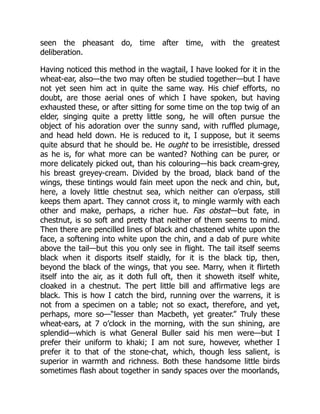 seen the pheasant do, time after time, with the greatest
deliberation.
Having noticed this method in the wagtail, I have looked for it in the
wheat-ear, also—the two may often be studied together—but I have
not yet seen him act in quite the same way. His chief efforts, no
doubt, are those aerial ones of which I have spoken, but having
exhausted these, or after sitting for some time on the top twig of an
elder, singing quite a pretty little song, he will often pursue the
object of his adoration over the sunny sand, with ruffled plumage,
and head held down. He is reduced to it, I suppose, but it seems
quite absurd that he should be. He ought to be irresistible, dressed
as he is, for what more can be wanted? Nothing can be purer, or
more delicately picked out, than his colouring—his back cream-grey,
his breast greyey-cream. Divided by the broad, black band of the
wings, these tintings would fain meet upon the neck and chin, but,
here, a lovely little chestnut sea, which neither can o’erpass, still
keeps them apart. They cannot cross it, to mingle warmly with each
other and make, perhaps, a richer hue. Fas obstat—but fate, in
chestnut, is so soft and pretty that neither of them seems to mind.
Then there are pencilled lines of black and chastened white upon the
face, a softening into white upon the chin, and a dab of pure white
above the tail—but this you only see in flight. The tail itself seems
black when it disports itself staidly, for it is the black tip, then,
beyond the black of the wings, that you see. Marry, when it flirteth
itself into the air, as it doth full oft, then it showeth itself white,
cloaked in a chestnut. The pert little bill and affirmative legs are
black. This is how I catch the bird, running over the warrens, it is
not from a specimen on a table; not so exact, therefore, and yet,
perhaps, more so—“lesser than Macbeth, yet greater.” Truly these
wheat-ears, at 7 o’clock in the morning, with the sun shining, are
splendid—which is what General Buller said his men were—but I
prefer their uniform to khaki; I am not sure, however, whether I
prefer it to that of the stone-chat, which, though less salient, is
superior in warmth and richness. Both these handsome little birds
sometimes flash about together in sandy spaces over the moorlands,
 