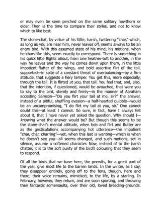 or may even be seen perched on the same solitary hawthorn or
elder. Then is the time to compare their styles, and not to know
which to like best.
The stone-chat, by virtue of his little, harsh, twittering “char,” which,
as long as you are near him, never leaves off, seems always to be an
angry bird. With this assumed state of his mind, his motions, when
he chars like this, seem exactly to correspond. There is something in
his quick little flights about, from one heather-tuft to another, in the
way he leaves and the way he comes down upon them, in the little
impatient flutter of the wings, and bold assertive flirt of the tail,
supported—in spite of a constant threat of overbalancing—by a firm
attitude, that suggests a fiery temper. You get this, more especially,
through the tail. It is flirted at you, that tail. You feel that, and, also,
that the intention, if questioned, would be avouched, that were you
to say to the bird, sternly and firmly—in the manner of Abraham
accosting Samson—“Do you flirt your tail at me, sir?” the answer,
instead of a pitiful, shuffling evasion—a half-hearted quibble—would
be an uncompromising, “I do flirt my tail at you, sir.” One cannot
doubt this—at least I cannot. So sure, in fact, have I always felt
about it, that I have never yet asked the question. Why should I—
knowing what the answer would be? But though this seems to be
the stone-chat’s mental attitude, when bob and flirt and flutter are
as the gesticulations accompanying hot utterance—the impatient
“char, char, charring”—yet, when this last is wanting—which is when
he doesn’t see you—all seems changed, and such motions, set in
silence, assume a softened character. Now, instead of to the harsh
chatter, it is to the soft purity of the bird’s colouring that they seem
to respond.
Of all the birds that we have here, the peewits, for a great part of
the year, give most life to the barren lands. In the winter, as I say,
they disappear entirely, going off to the fens, though, here and
there, their voice remains, mimicked, to the life, by a starling. In
February, however, they return, and are soon sporting, and throwing
their fantastic somersaults, over their old, loved breeding-grounds.
 