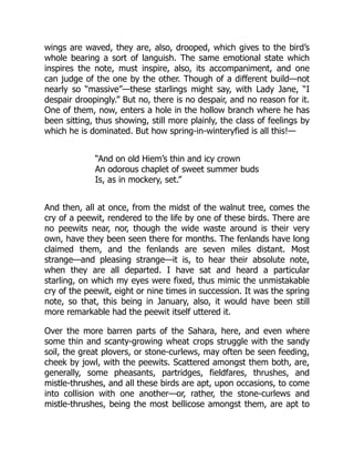 wings are waved, they are, also, drooped, which gives to the bird’s
whole bearing a sort of languish. The same emotional state which
inspires the note, must inspire, also, its accompaniment, and one
can judge of the one by the other. Though of a different build—not
nearly so “massive”—these starlings might say, with Lady Jane, “I
despair droopingly.” But no, there is no despair, and no reason for it.
One of them, now, enters a hole in the hollow branch where he has
been sitting, thus showing, still more plainly, the class of feelings by
which he is dominated. But how spring-in-winteryfied is all this!—
“And on old Hiem’s thin and icy crown
An odorous chaplet of sweet summer buds
Is, as in mockery, set.”
And then, all at once, from the midst of the walnut tree, comes the
cry of a peewit, rendered to the life by one of these birds. There are
no peewits near, nor, though the wide waste around is their very
own, have they been seen there for months. The fenlands have long
claimed them, and the fenlands are seven miles distant. Most
strange—and pleasing strange—it is, to hear their absolute note,
when they are all departed. I have sat and heard a particular
starling, on which my eyes were fixed, thus mimic the unmistakable
cry of the peewit, eight or nine times in succession. It was the spring
note, so that, this being in January, also, it would have been still
more remarkable had the peewit itself uttered it.
Over the more barren parts of the Sahara, here, and even where
some thin and scanty-growing wheat crops struggle with the sandy
soil, the great plovers, or stone-curlews, may often be seen feeding,
cheek by jowl, with the peewits. Scattered amongst them both, are,
generally, some pheasants, partridges, fieldfares, thrushes, and
mistle-thrushes, and all these birds are apt, upon occasions, to come
into collision with one another—or, rather, the stone-curlews and
mistle-thrushes, being the most bellicose amongst them, are apt to
 