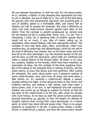 fall out between themselves, or with the rest. For the stone-curlew,
he is, certainly, a fighter. A cock pheasant that approaches too near
to one is attacked, and put to flight by it. The rush of this bird along
the ground, with neck outstretched, legs bent, and crouching gait—a
sort of stealthy speed—is a formidable affair, and seems half to
frighten and half to perplex the pheasant. But what a difference to
when rival male stone-curlews advance against each other to the
attack! Then the carriage is upright—grotesquely so, almost—and
the tail fanned out like a scallop-shell, which, now, it is not. This is
interesting, I think, for in attacking birds of another species there
would not be so much, if any, idea of rivalry, calling up, by
association, other sexual feelings, with their appropriate actions. The
combats of rival male birds seem, often, encumbered, rather than
anything else, by posturings and attitudinisings, which do not add to
the kind of efficiency now wanted, but, on the other hand, show the
bird off to the best advantage—e.g. the beautiful spread of the tail,
and the bow, as with the stock-dove, where both are combined and
make a marked feature of the fiercest fights. All these, in my view,
are, properly, displays to the female, which have been imported, by
association of ideas, into the combats of the birds practising them.
But in this attack on the pheasant there is nothing of all this, and the
action seems, at once, less showy and more pertinent. After routing
the pheasant, this same stone-curlew runs à plusieurs reprises at
some mistle-thrushes, who, each time, fly away, and come down a
little farther on. En revanche a mistle-thrush attacks a peewit,
actually putting it to flight. It then advances three or four times—but
evidently nervous, and making a half retreat, each time—upon a
stone-curlew, who, in its turn, is half frightened and half surprised.
Another one comes up, as though to support his friend, so that the
last dash of the mistle-thrush is at the two, after which he retreats
with much honour. As he does so, both the stone-curlews posturise,
drawing themselves up, gauntly, to their full height—an attitude of
haughty reserve—then curving their necks downwards, to a certain
point, at which they stand still and slowly relax. There is no proper
sequence or proportion in all this. A stone-curlew chases a mistle-
thrush, a mistle-thrush a peewit, and then the stone-curlew himself
 