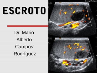 ESCROTOESCROTO
Dr. Mario
Alberto
Campos
Rodríguez
 