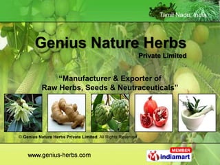Tamil Nadu, India




       Genius Nature Herbs
                                                             Private Limited


               “Manufacturer & Exporter of
           Raw Herbs, Seeds & Neutraceuticals”




© Genius Nature Herbs Private Limited, All Rights Reserved
 