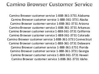 Camino Browser customer service 1-888-361-3731 Alabama
Camino Browser customer service 1-888-361-3731 Alaska
Camino Browser customer service 1-888-361-3731 Arizona
Camino Browser customer service 1-888-361-3731 Arkansas
Camino Browser customer service 1-888-361-3731 California
Camino Browser customer service 1-888-361-3731 Colorado
Camino Browser customer service 1-888-361-3731 Connecticut
Camino Browser customer service 1-888-361-3731 Delaware
Camino Browser customer service 1-888-361-3731 Florida
Camino Browser customer service 1-888-361-3731 Georgia
Camino Browser customer service 1-888-361-3731 Hawaii
Camino Browser customer service 1-888-361-3731 Idaho
 