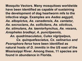 Mosquito Vectors.   Many mosquitoes worldwide have been identified as capable of sustaining the development of dog heartworm mfs to the infective stage. Examples are  Aedes aegypti, Ae. albopictus, Ae. canadensis ,  Ae. cantator, Ae. excrucians, Ae. sollicitans, Ae. sticticus,  Ae. stimulans, Ae. taeniorhynchus, Ae. vexans, Anopheles bradleyi ,  A. punctipennis,  An. quadrimaculatus ,  Culex nigripalpus ,  Cx. quinquefasciatus ,  Cx. salinarius and Psorophora ferox  have been identified as natural hosts of  D. immitis  in the US east of the Mississippi River. Among these, 11 species are found in abundance in Florida.  
