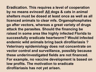 Eradication.  This requires a level of cooperation by no means evinced!  All  dogs & cats in animal shelters must be dosed at least once as well as all licenced animals to clear mfs. Organophosphates go after vectors, whereas a great variety of drugs attack the parasites. Should the financing be raised in some area like highly infected Florida to successfully eradicate heartworm? Would infected endemic wild animals bring back dirofilariasis ? Veterinary epidemiology does not concentrate on vector control and surveillance, possibly because these underinvestigated fields are not financed. For example, no vaccine development is based on low profits. The motivation to eradicate dirofilariasis has not yet arisen. 
