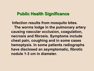 Public Health Significance    Infection results from mosquito bites.  The worms lodge in the pulmonary artery causing vascular occlusion, coagulation, necrosis and fibrosis. Symptoms include chest pain, coughing and in some cases hemoptysis. In some patients radiographs have disclosed an asymptomatic, fibrotic nodule 1-3 cm in diameter. 