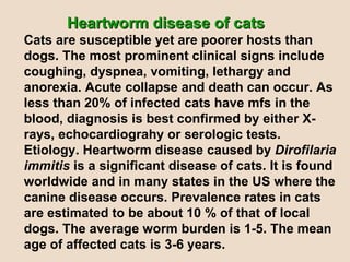 Heartworm disease of cats Cats are susceptible yet are poorer hosts than dogs. The most prominent clinical signs include coughing, dyspnea, vomiting, lethargy and anorexia. Acute collapse and death can occur. As less than 20% of infected cats have mfs in the blood, diagnosis is best confirmed by either X-rays, echocardiograhy or serologic tests. Etiology. Heartworm disease caused by  Dirofilaria immitis  is a significant disease of cats. It is found worldwide and in many states in the US where the canine disease occurs. Prevalence rates in cats are estimated to be about 10 % of that of local dogs. The average worm burden is 1-5. The mean age of affected cats is 3-6 years. 