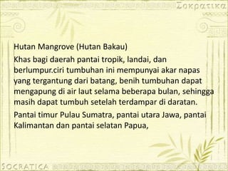 Hutan Mangrove (Hutan Bakau)
Khas bagi daerah pantai tropik, landai, dan
berlumpur.ciri tumbuhan ini mempunyai akar napas
yang tergantung dari batang, benih tumbuhan dapat
mengapung di air laut selama beberapa bulan, sehingga
masih dapat tumbuh setelah terdampar di daratan.
Pantai timur Pulau Sumatra, pantai utara Jawa, pantai
Kalimantan dan pantai selatan Papua,
 
