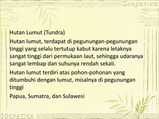 Hutan Lumut (Tundra)
Hutan lumut, terdapat di pegunungan-pegunungan
tinggi yang selalu tertutup kabut karena letaknya
sangat tinggi dari permukaan laut, sehingga udaranya
sangat lembap dan suhunya rendah sekali.
Hutan lumut terdiri atas pohon-pohonan yang
ditumbuhi dengan lumut, misalnya di pegunungan
tinggi
Papua, Sumatra, dan Sulawesi
 