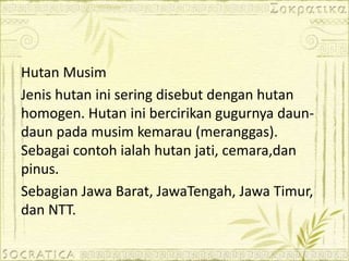 Hutan Musim
Jenis hutan ini sering disebut dengan hutan
homogen. Hutan ini bercirikan gugurnya daun-
daun pada musim kemarau (meranggas).
Sebagai contoh ialah hutan jati, cemara,dan
pinus.
Sebagian Jawa Barat, JawaTengah, Jawa Timur,
dan NTT.
 