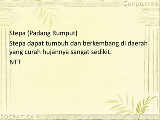 Stepa (Padang Rumput)
Stepa dapat tumbuh dan berkembang di daerah
yang curah hujannya sangat sedikit.
NTT
 