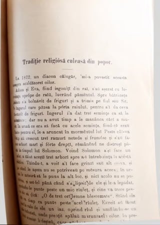 Tradiţie religiosă culeasă din popor.
la 1872, un diacon c&lug&r, ’m i-a povestit aceasta
0pra scăldfttorel oilor.
[Adam şi Eva, fiind isgoniţl din raî, s’ail aşezat cu lo-
W apr6pe de raia, lucrând pâmentul. Spre bătrâneţe
dams’a bolnăvit de friguri şi a trimis pe fiul seu Sit,
■îngerul care pâzea la p<5rla raiului, pentra a’l da ceva
Jetorii de friguri. îngerul i’a dat trei seminţe ca să, le
'nănce; dar nu a avut timp a le mănâncă căci a mu-
lin urmăce era eă facă cu acele seminţe, fiind-c& erau
iţepentru el, le-a aruncat în mormentul Iul Peste cât-va
j aii crescut trei ramuri netede şi frum6se şi s’aft fâ-
Urborî mari şi f6rte drepţi, rămânând ne distruşi pâ-
( intimpul lui Solomon. Voind Solomon a’şl face un
Λ, atăiat aceşti trei arbori spre a-i întrebuinţa la ac£st
Ρΐϊβ· Tâindu-I, a voit a’l face grinzi sati alt ce-va, şi
f <&idle aşeza nu se potriveau pe mfesura aceea; în ur-
mSsurisă le puaa la alt loc, şi nici acolo nu se po-
Γ**' ţi ast tel până când s’a^lipsit^de ele şi le-a lepidat,
Î7 punte peste un mic rluleţ, şicine va trece pes-
V * 4î<A: „O de trei orijlemne blestemateu. Stând ele
S ca punte peste 'acel 'Muleţ, Evreii ati ficut
p L· un iaz, oprind rtul şinmflându-se un
mL»' Pre:>ţ'' epilaii m iruntaelt oilor. In pre-
W — — ___ _____
 