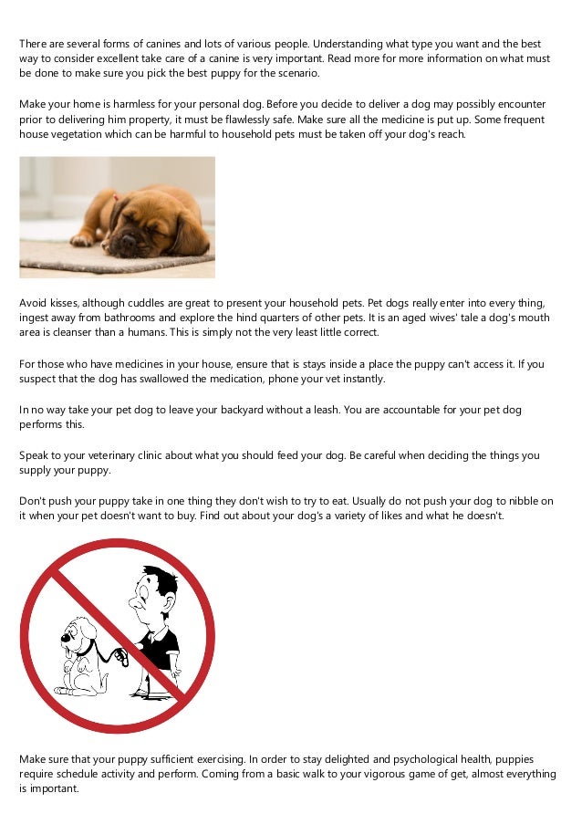 Very Good Ways To Use When You Need Specifics Of Puppies