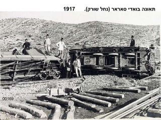 00169 תאונה בואדי סאראר  ( נחל שורק ).  1917 