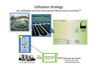 Utilization Strategy
CO2 Utilization via OPEN POND RACEWAY MICRO ALGAE CULTIVATION 8)
8)
 