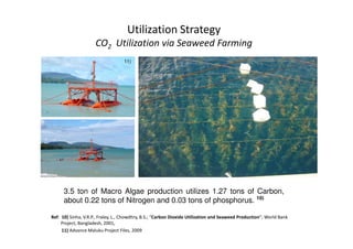 Utilization Strategy
CO2 Utilization via Seaweed Farming
11)
Ref: 10) Sinha, V.R.P., Fraley, L., Chowdhry, B.S.; “Carbon Dioxide Utilization and Seaweed Production”; World Bank
Project, Bangladesh, 2001,
11) Advance Maluku Project Files, 2009
3.5 ton of Macro Algae production utilizes 1.27 tons of Carbon,
about 0.22 tons of Nitrogen and 0.03 tons of phosphorus. 10)
 